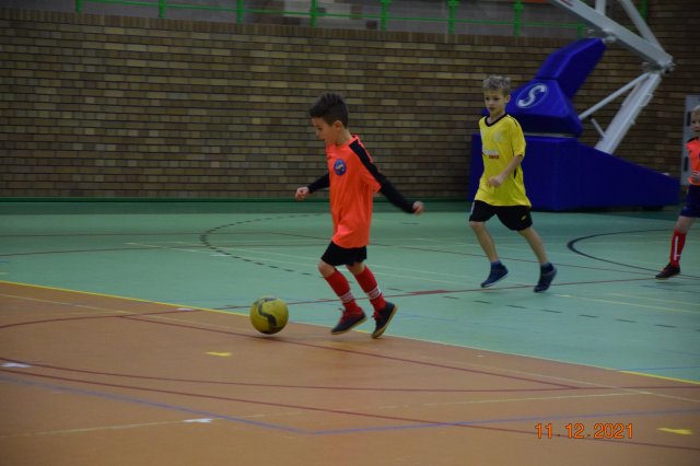 turmikol 29